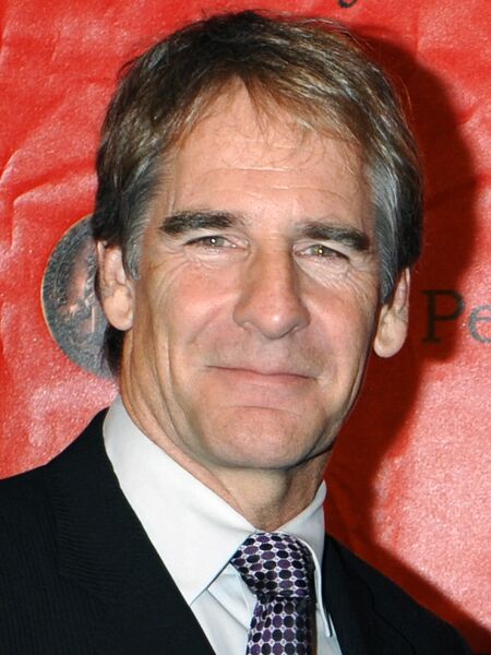 File:Scott Bakula portrait.jpg
