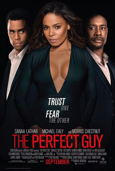 File:The Perfect Guy (2015) poster.jpg