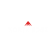 North Edge logo