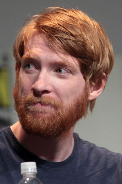 File:Domhnall Gleeson portrait.jpg