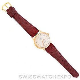 Omega Seamaster