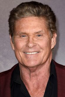 Portrait of David Hasselhoff