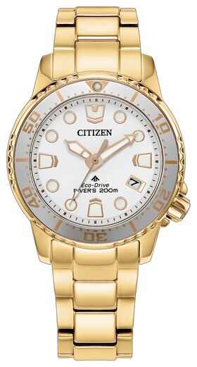Citizen Promaster Dive 36.5mm