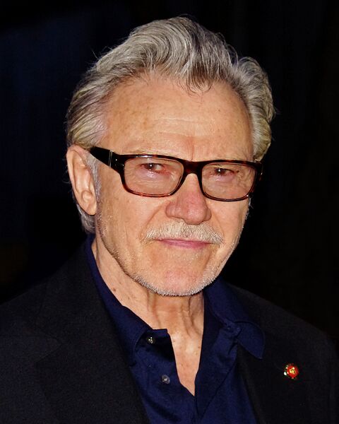 File:Harvey Keitel portrait crop.jpg
