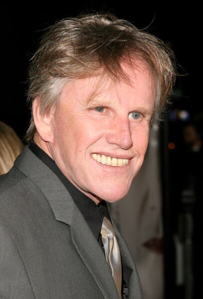 File:Gary Busey portrait.jpg