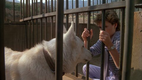 Kristy McNichol as Julie with the Cartier Santos in White Dog (1982)