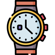 Unidentified watch