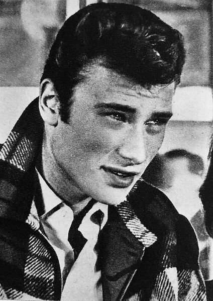 File:Johnny Hallyday portrait.jpg