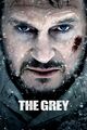Thumbnail for version as of 23:55, 6 July 2026