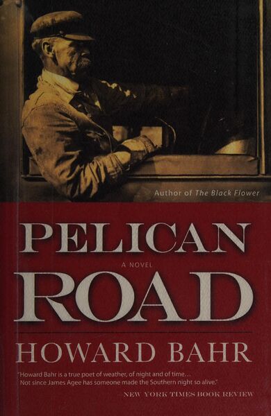 File:Pelican Road (2008) poster.jpg