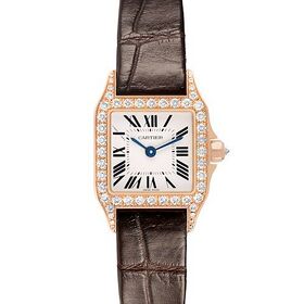 Cartier Santos Demoiselle