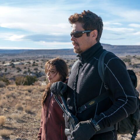 Benicio del Toro as Alejandro Gillick with the Casio G-Shock DW9052 in Sicario: Day of the Soldado (2018)