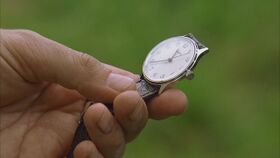 Timex (unidentified model)