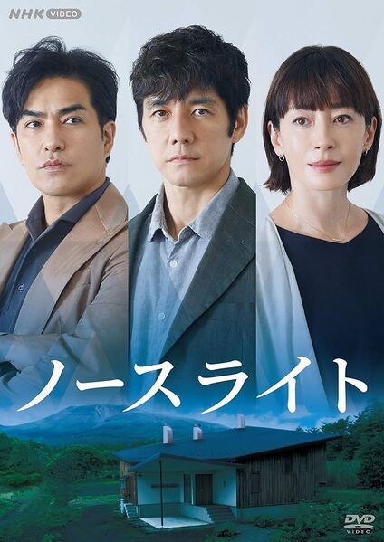 File:North Light (2020) poster.jpg