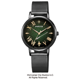 Citizen wicca Wicked Elphaba KP5-140-41