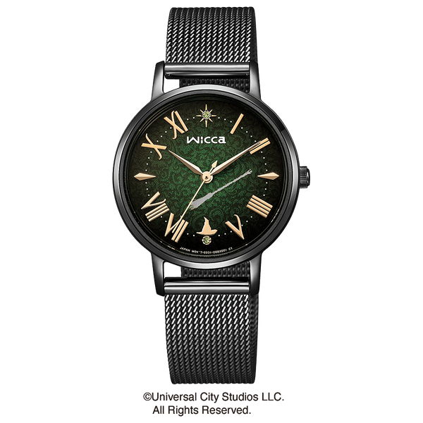 File:Citizen wicca Wicked Elphaba KP5-140-41.png