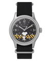 Thumbnail for version as of 20:13, 7 September 2026